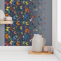 Butterfly Ombre Border Fabric