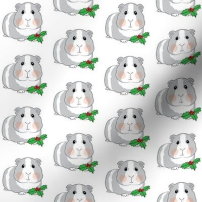 christmas guinea pigs with holly