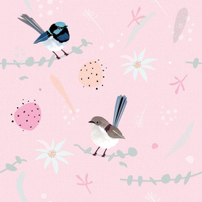 Fairy Wrens / Australian birds flannel flowers eucalyptus billy button