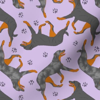 Trotting natural Beaucerons and paw prints - lavender