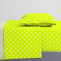 White Polkadots on Lime Punch 