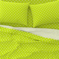 White Polkadots on Lime Punch 