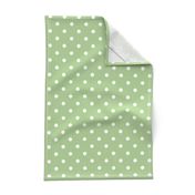 White Polkadots on Nile Green