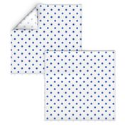 Palace Blue Polkadots on White