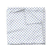 Palace Blue Polkadots on White