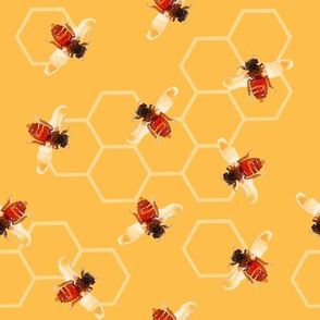 Worker Bees with Hexagon Honey