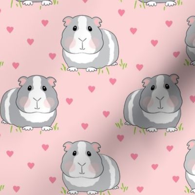 guinea-pigs-with-pink hearts