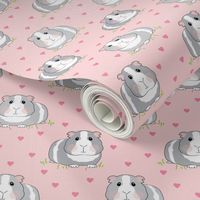 guinea-pigs-with-pink hearts