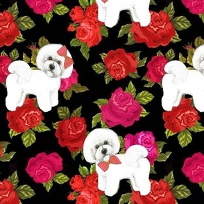  Bichon Frise on  red and pink rose floral