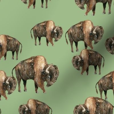 Buffalo Herd on Green - Smaller Scale