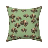 Buffalo Herd on Green - Smaller Scale