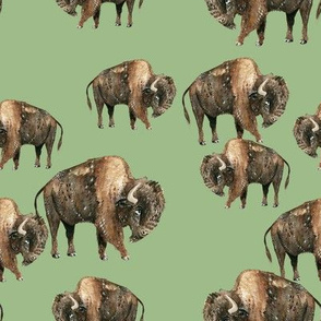 Buffalo Herd on Green - Smaller Scale