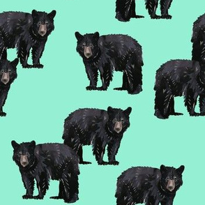 Bears Bears Bears on Mint - Smaller Scale