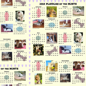 2018 Playdogs of the Month Calendar