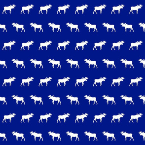 moose - royal blue
