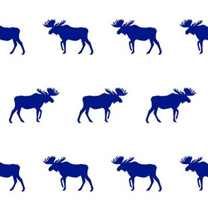 moose - royal blue