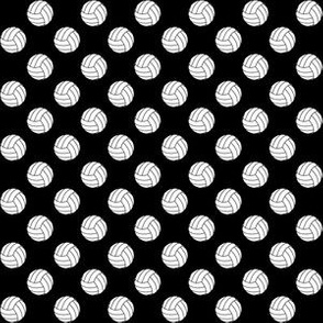 Half Inch Black and White Volleyballs on Black