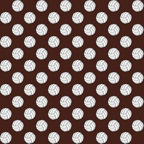 Half Inch Black and White Volleyballs on Brown