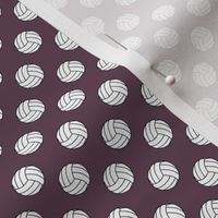 Half Inch Black and White Volleyball Balls on Eggplant Purple