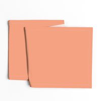 Solid Pastel Orange