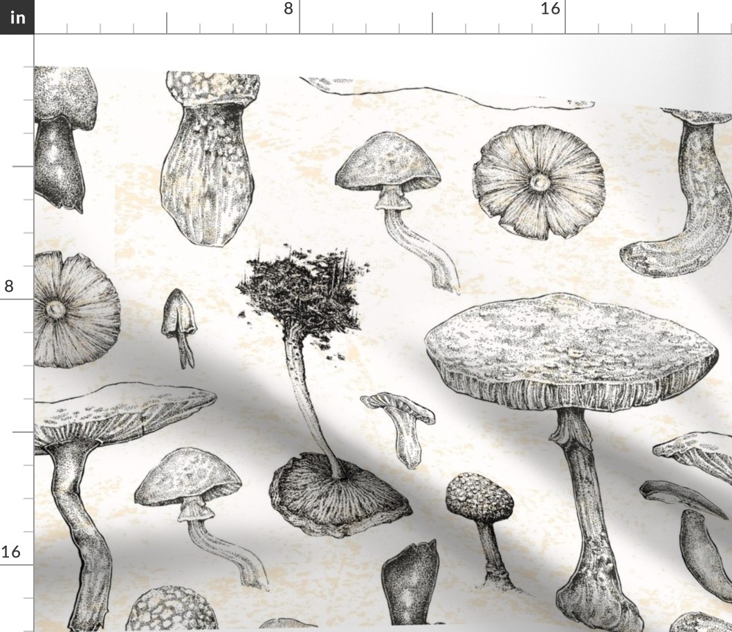 mushroom_stippled_swatch_bigger_upload