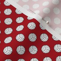 Half Inch Black and White Volleyball Balls on Dark Red