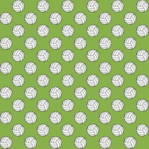 Half Inch Black and White Volleyballs on Greenery Green