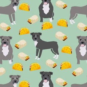 pitbull taco fabric - dogs and burritos design - mint