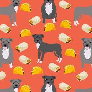 pitbull taco fabric - dogs and burritos design - orange
