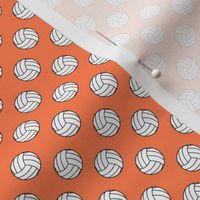 Half Inch Black and White Sports Volleyball Balls on Coral