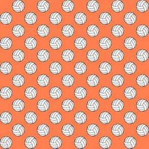 Half Inch Black and White Sports Volleyball Balls on Coral