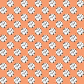 Half Inch Black and White Sports Volleyball Balls on Peach