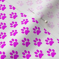 Half Inch Magenta Pink Paw Prints on White