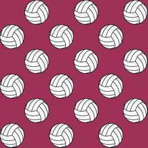 One Inch Black and White Volleyballs on Sangria Pink