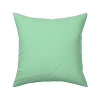 pastel rainbow fun solid green