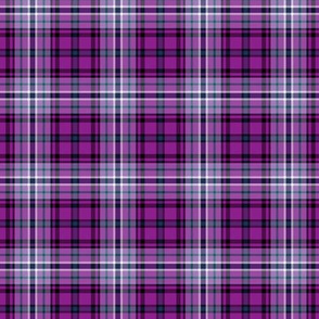 scotland forever tartan style 2