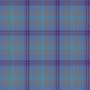 Great Scot tartan - 6" weathered