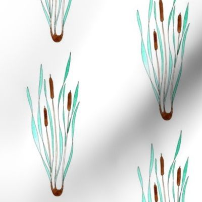 Cattails 