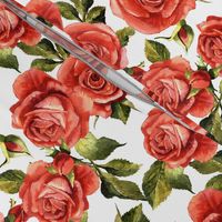 Watercolor Red Roses