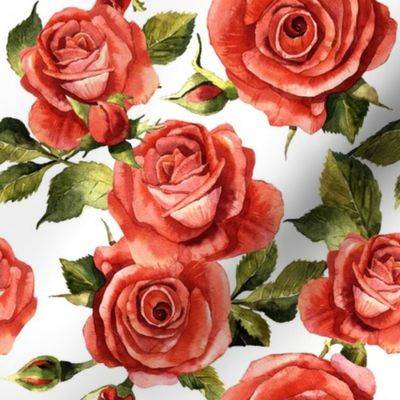 Watercolor Red Roses