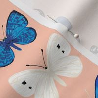 butterflies // pink and blue girls butterfly spring floral pastel