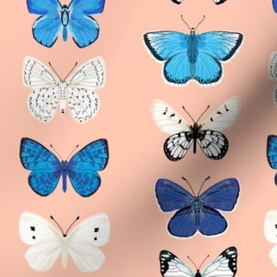 butterflies // pink and blue girls butterfly spring floral pastel