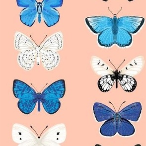 butterflies // pink and blue girls butterfly spring floral pastel