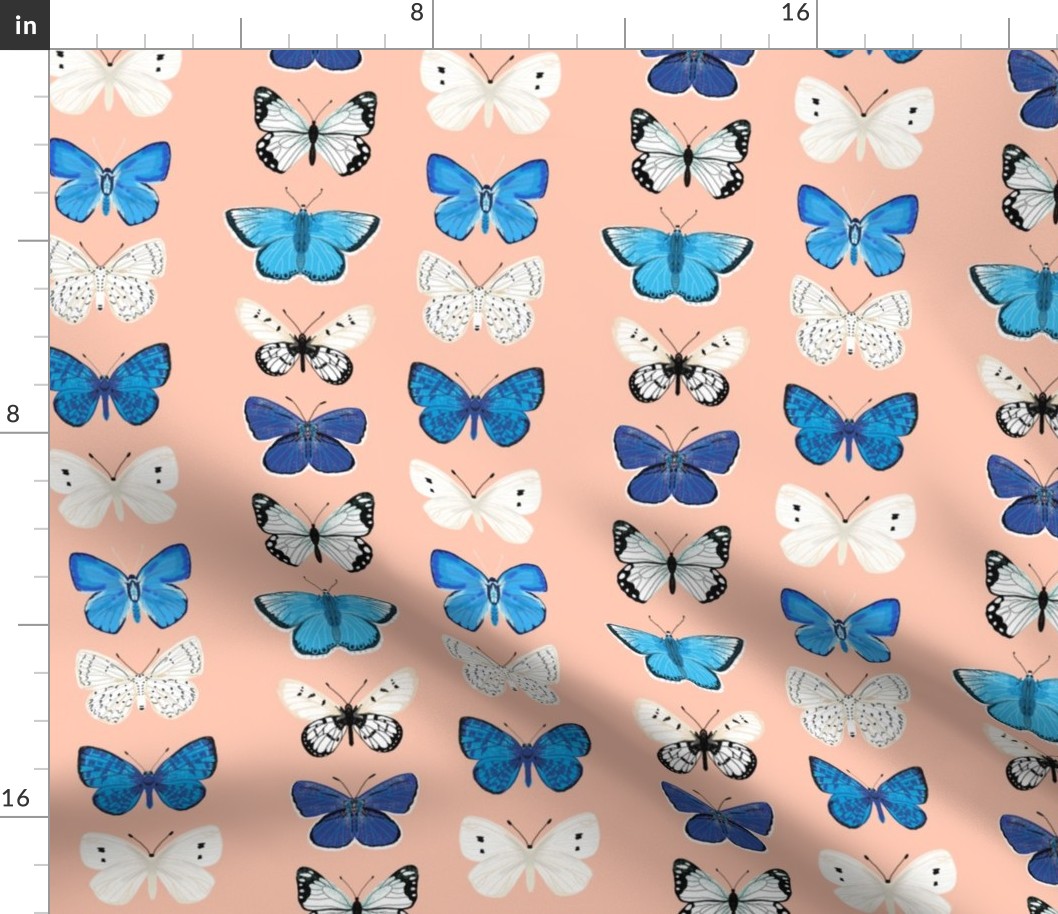 butterflies // pink and blue girls butterfly spring floral pastel