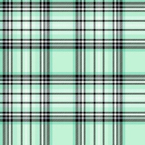 MED mint tartan style 1 - 4" repeat