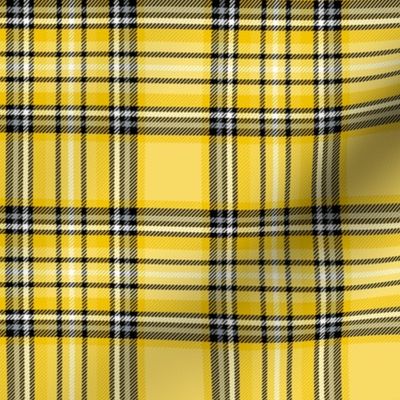 MED mustard yellow tartan style 1 - 4" repeat
