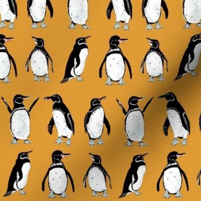 Galápagos Penguins bright orange | tiny