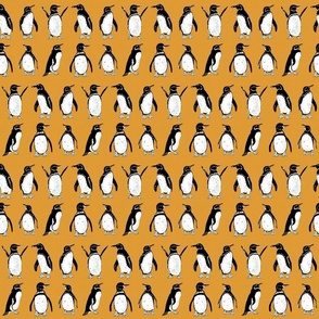 Galápagos Penguins bright orange | tiny