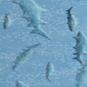 Sharks in Open Waters
