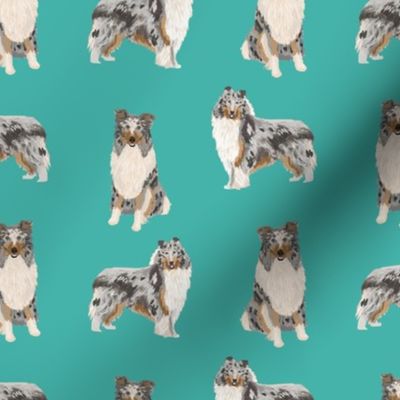 blue merle collie fabric dog dogs design - cute dog fabric- turquoise